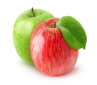Dietetics Dietetics