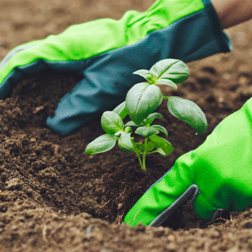 Exercices d’échauffement à effectuer avant de débuter le jardinage