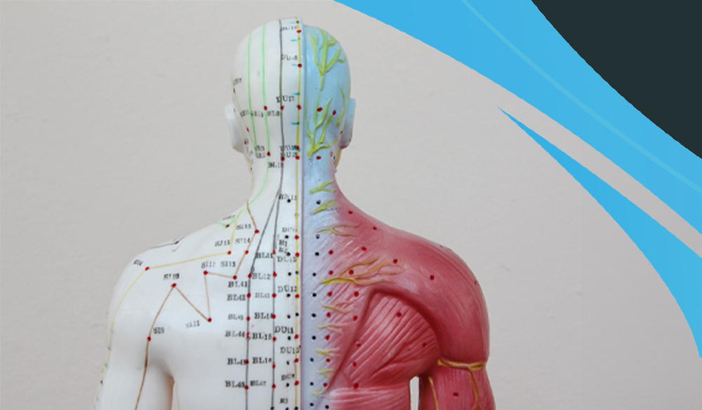 Strengthen your immune system with Acupuncture