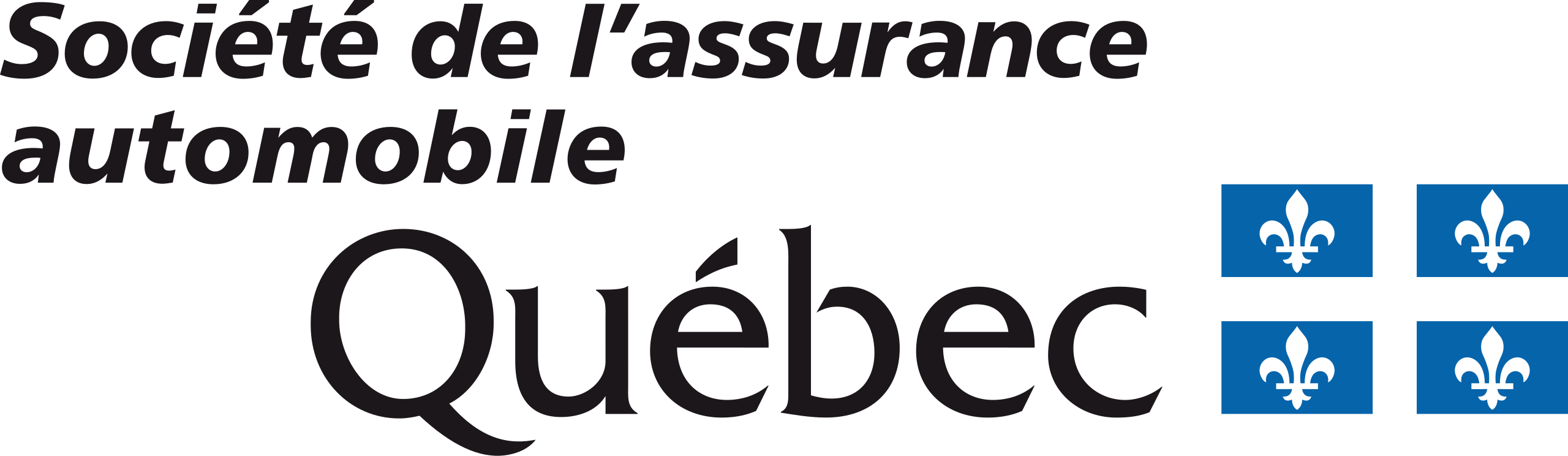 Physio Médicentre Sportif SAAQ logo.svg - Physio Médicentre Sportif